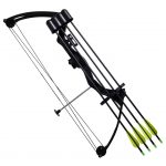 Youth Compound Bow with Accessories and Aluminium Arrows