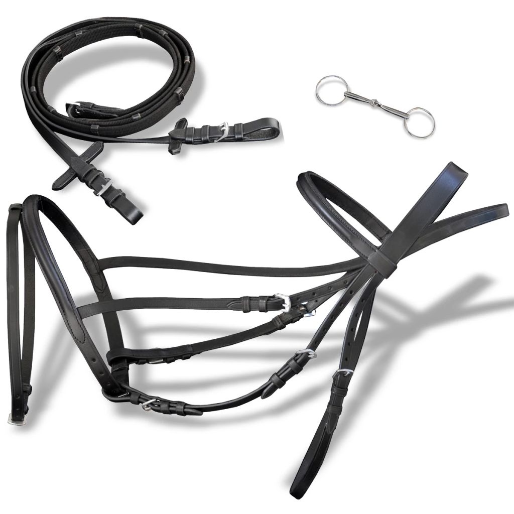 Leather Flash Bridle with Reins and Bit Black Full