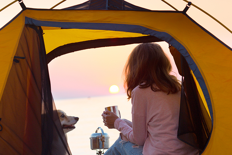 Why You Should Invest In A Camping Shelter to Improve the Quality of Your Event